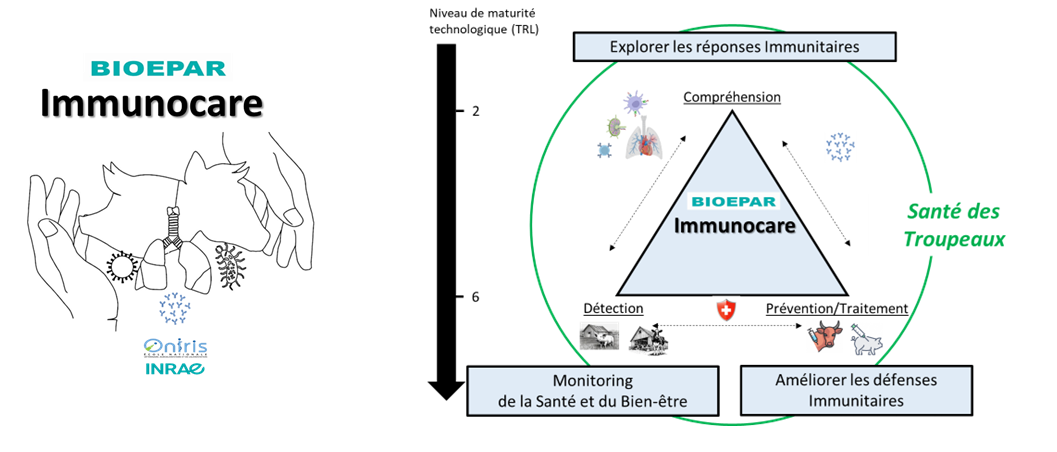 Immunocare image