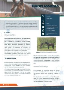 Couverture piroplasmose
