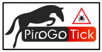 Pirogotick logo