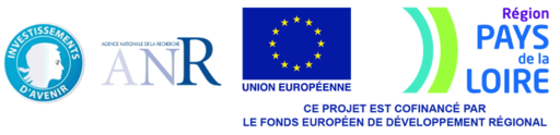 EUROPE-FondsRegional_reference_reference