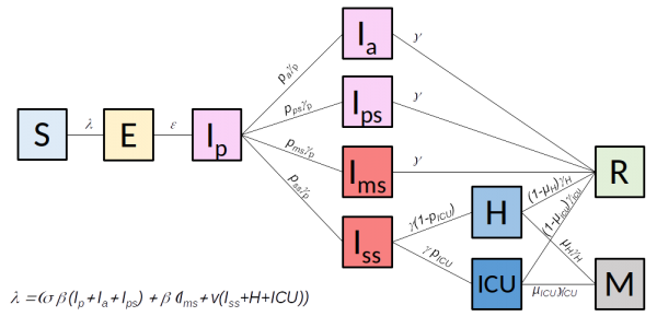Schéma de modélisation avec différents états I ("infecté")