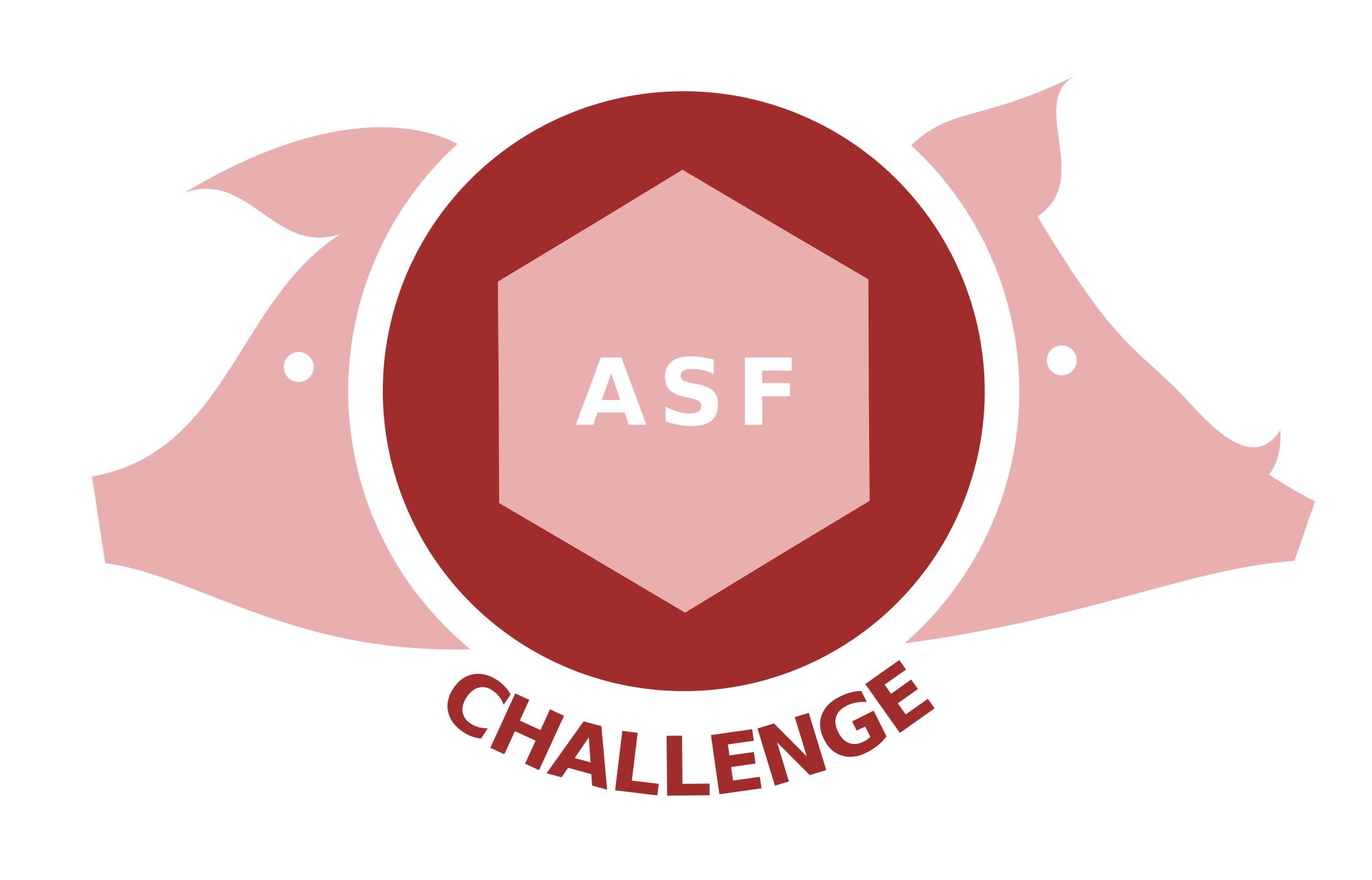 Logo du 1er challenge de modélisation en épidémiologie animale