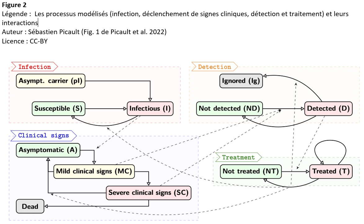 Impact Fig 2