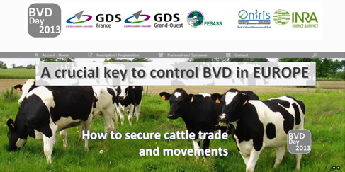 Sécuriser les mouvements d’animaux par rapport aux risques sanitaires pour la diarrhée virale bovine (BVD)